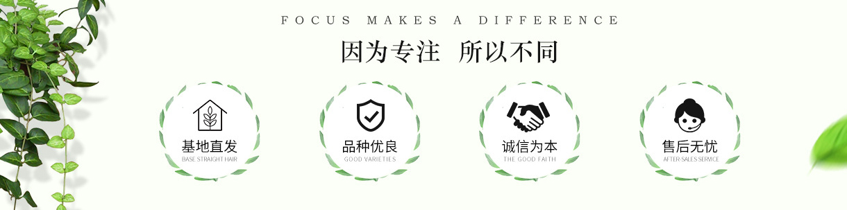 6063e00cebb7d.jpg 19394721827_1482390156.jpg